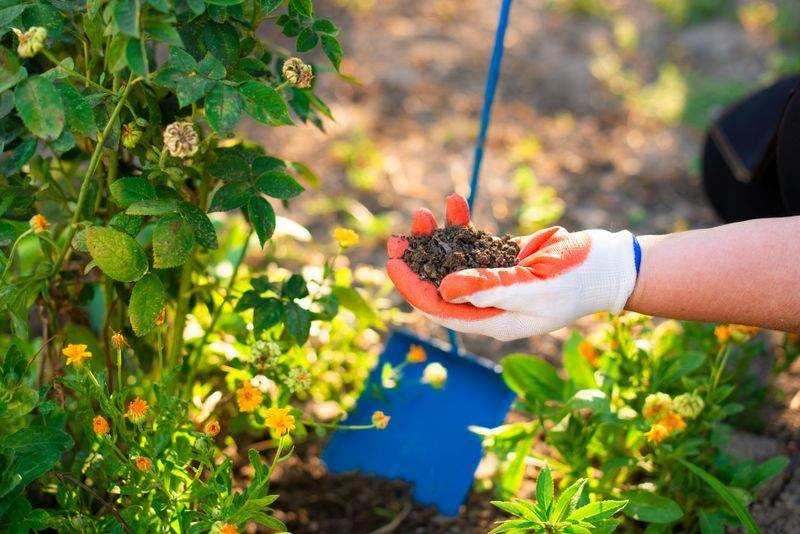 植栽工事・花壇づくり
